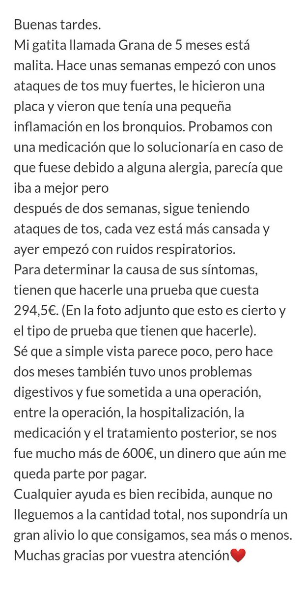 𝕯𝖗𝖊𝖎𝖙𝖆 tweet media