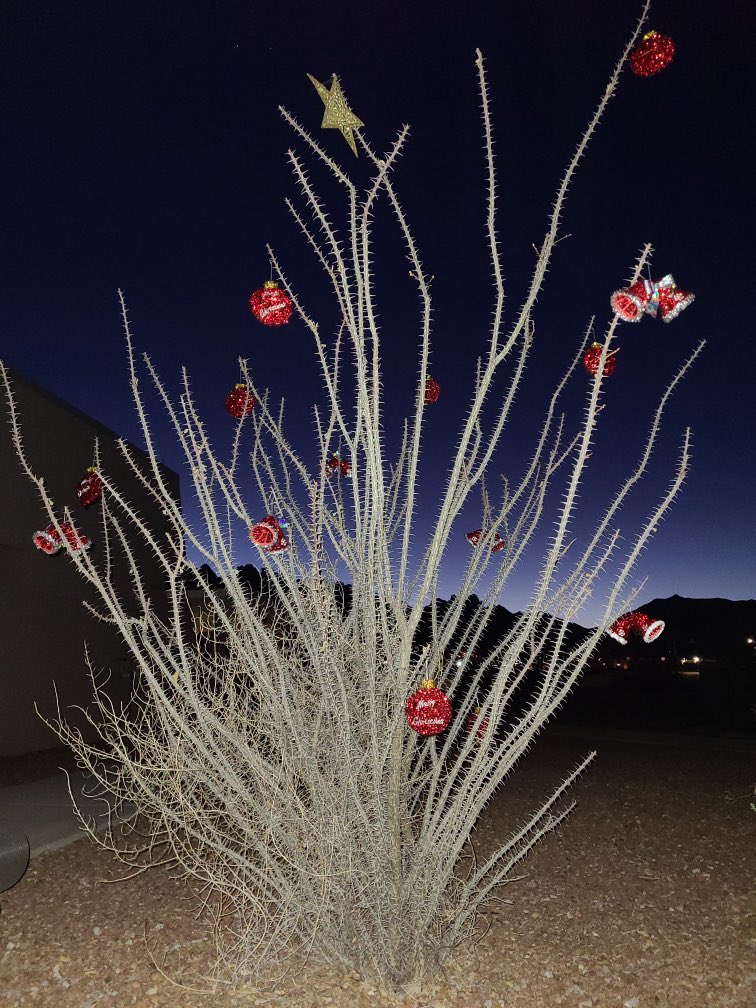 BAB_the_Bear's tweet photo. No matter the environment, Soldiers will find a way to spread some Holiday Cheer. #Fires50 #15 “A good idea only becomes great when it is shared.” #Resilient #FrontierLiving #FiresStrong @OfficialFtSill @WSMissileRange https://t.co/2VVRKsmyk2