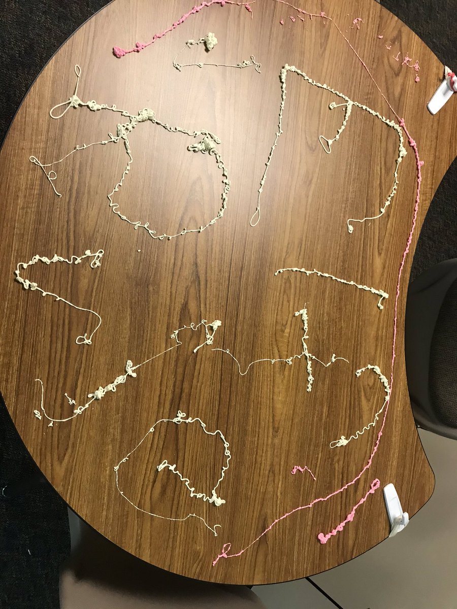 MissJacksonDWE's tweet photo. It looks like Rudder got a little silly while we were gone! #crazyelf #happyelfing #secondgrade #DWEeagles #happyholidays https://t.co/PlH4kVqQ3V