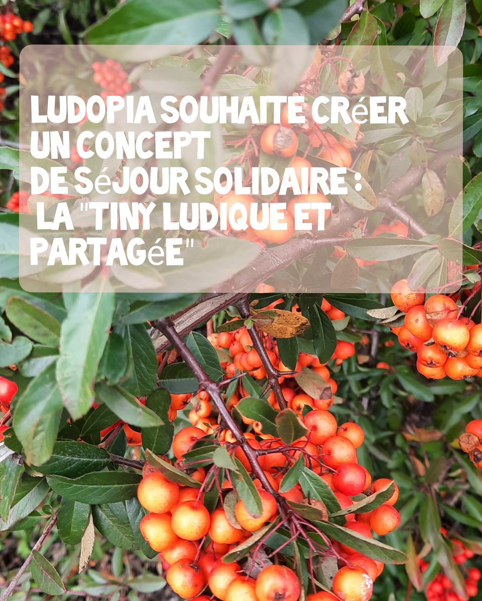 EspaceLudopia's tweet photo. https://t.co/KHxCimfFdW