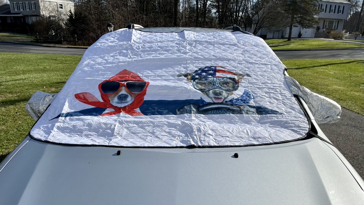 mchesner's tweet image. My car’s windshield snow shield is funnier than yours.  #snowshield #snow #funny