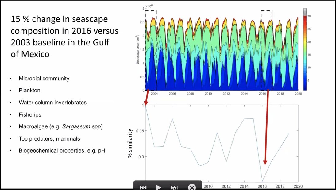  #AGU20: DYK that  #seascapes' composition can change that much? See  @EnriqueMontes01's following slide; there are also significant implications for management.  https://twitter.com/BZgeo/status/1338890964107137027