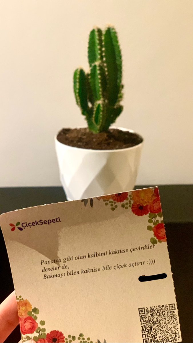 ZeynepSertbas's tweet photo. ;bakmayı bilmeyen gülü bile solduruyor https://t.co/wDERPfWSzJ