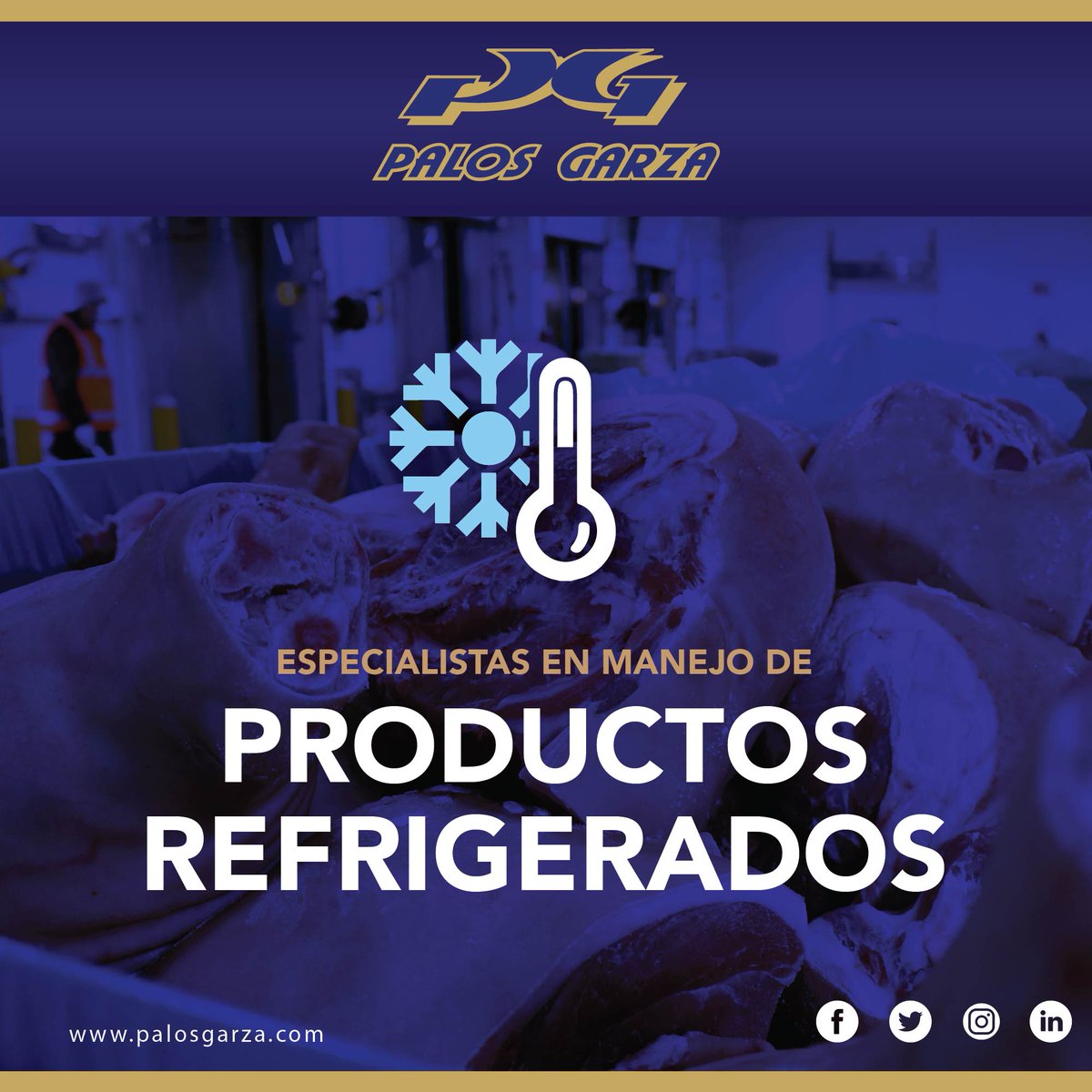 Palos Garza tweet media