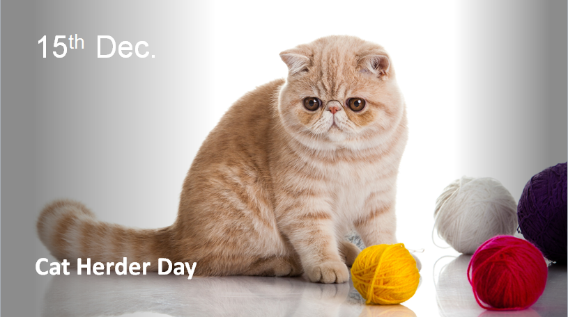 edbrix's tweet image. Seems impossible!!..they are cats! #catsofinstagram #cats #becats 🐱