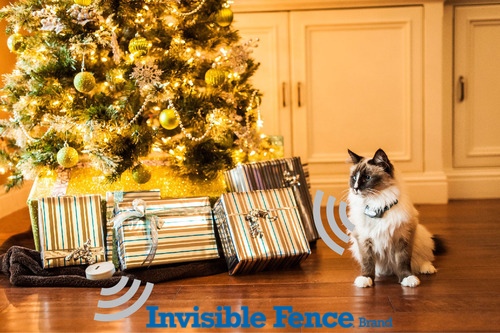InvisibleByFF's tweet photo. Our Shields Plus creates an adjustable Invisible Boundary around areas you want to protect your pets from. Call us today for a FREE estimate- 973-575-9111.  #InvisibleFencebyForeverFence #NJFence #NJPets #PetSafety #BackyardSolutions #TheGoalGroupofNJ #VeteranOwnedBusiness https://t.co/ZMr3XzdlKk