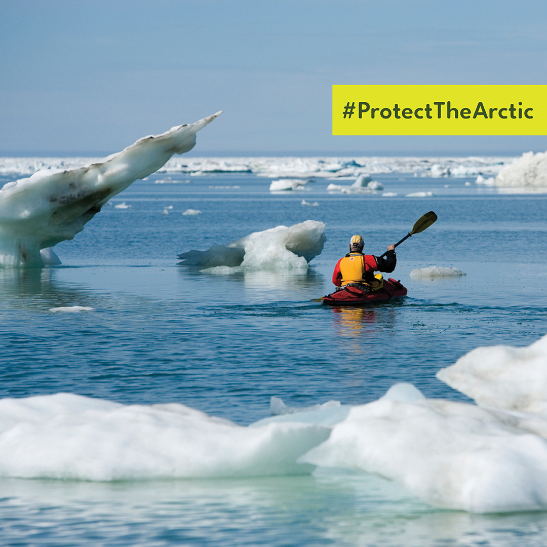 HotChillys's tweet image. The future of the Coastal Plain has critical implications for wildlife, climate, and indigenous rights. Join us in asking President-Elect Biden to #ProtectThe
Arctic on day one in office. #WeKeepItWild
📷 by John Burcham
CC: @conservationalliance ❄️🌊