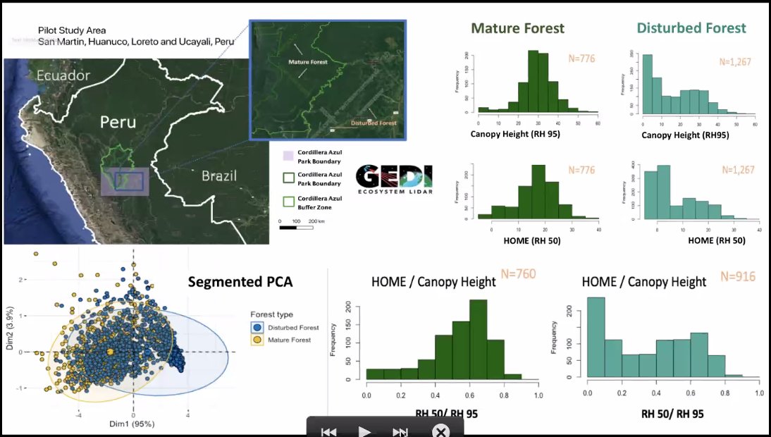 Next up at  #AGU20,  @Pteronura's collaborator Savannah Cooley is presenting on the use of  @GEDI_Knights data for  #forest monitoring in the  #Amazon, in the context of Dr. Pinto's ongoing  @SERVIRGlobal-funded project. https://twitter.com/BZgeo/status/1338891710215151617