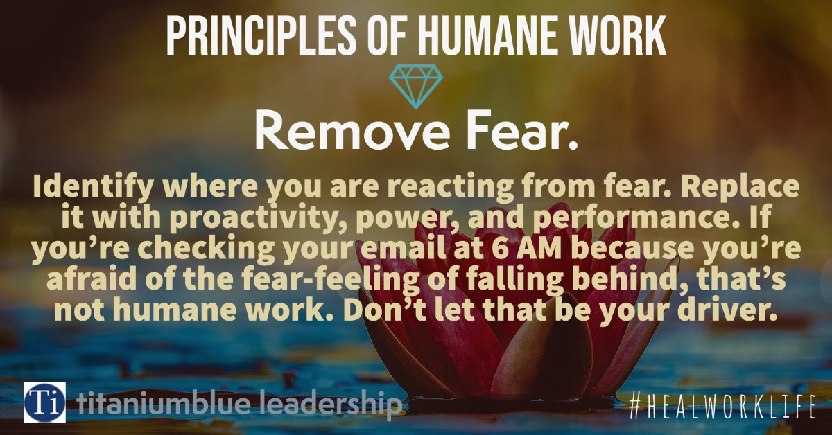 blueskyteamwork's tweet image. We begin our Principles of Humane Work series with the directive to Remove Fear. If you&apos;ve ever been driven by fear of failure or fear of what&apos;s in your inbox, you know what I mean. Work to replace it with calm proactivity. #humanework #healworklife
