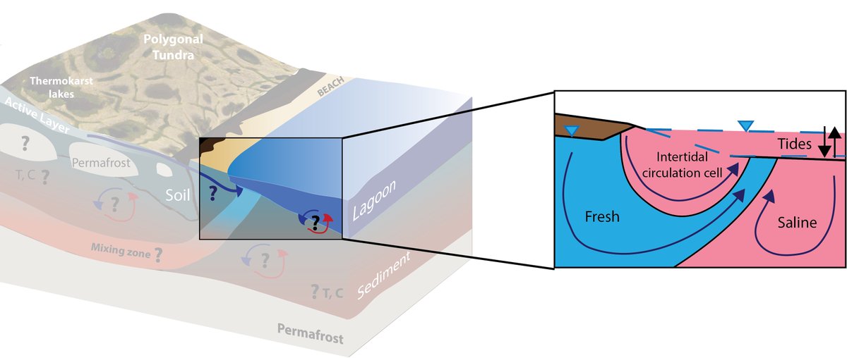 arctichydro's tweet photo. Interested in coastal groundwater dynamics in the Arctic?

Come join my e-lightning talk @theAGU tomorrow, 16 Dec., during session B-120, 10:30-11:30 CT.

Also, check out my Poster:
https://t.co/RMgbHdvVwP

Special thanks to @TundraTime &amp; PerCS-Net for their financial support. https://t.co/lPVOzcHQyY