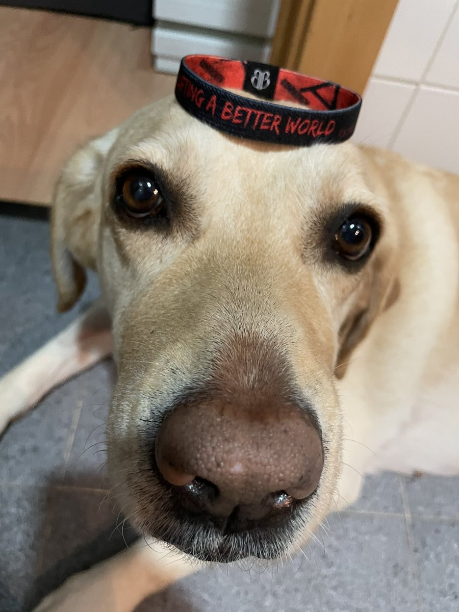 Lifting a better world_ 

#TeamBanbroken @banBroken_