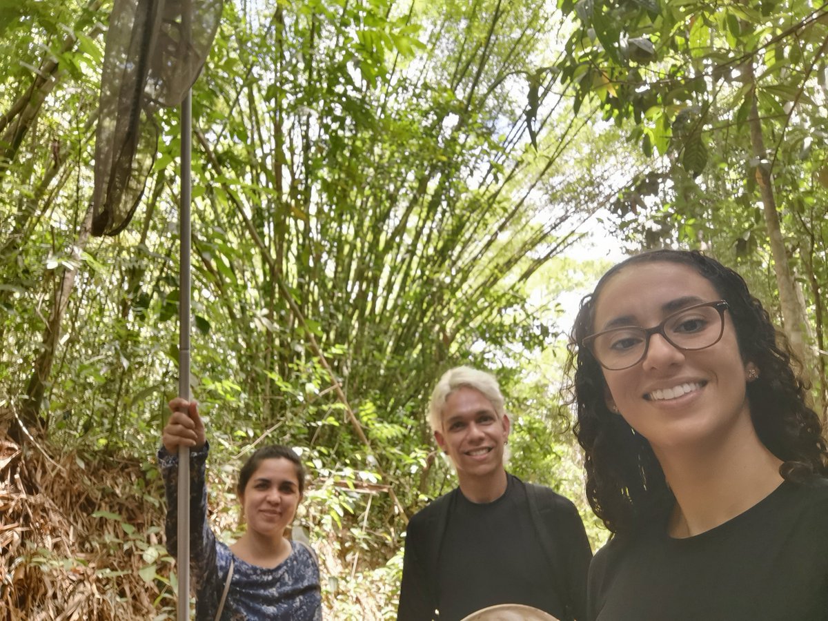 It is my first time doing a long fieldwork, but things are going really well. Very pleased that we finished the collections in PE. Next stop PB and RN .  Thanks a lot <a href="/ICMBio/">João Carlos</a> and @MSCActions, and the collaborators <a href="/Labbor_Unicamp/">LABBOR</a> and LEEB-UFRN for making this possible!