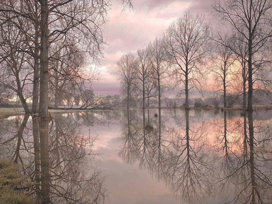 StormHour's tweet photo. The Yare Valley in Bawburgh, Norfolk on a misty December morning (06/12/20) ~ By @TractorWalking

BOTR Weather Photo Of The Week 14th December 2020 - https://t.co/SKL7XXlzUd
#StormHour
#ThePhotoHour https://t.co/JtnK3xHeLC