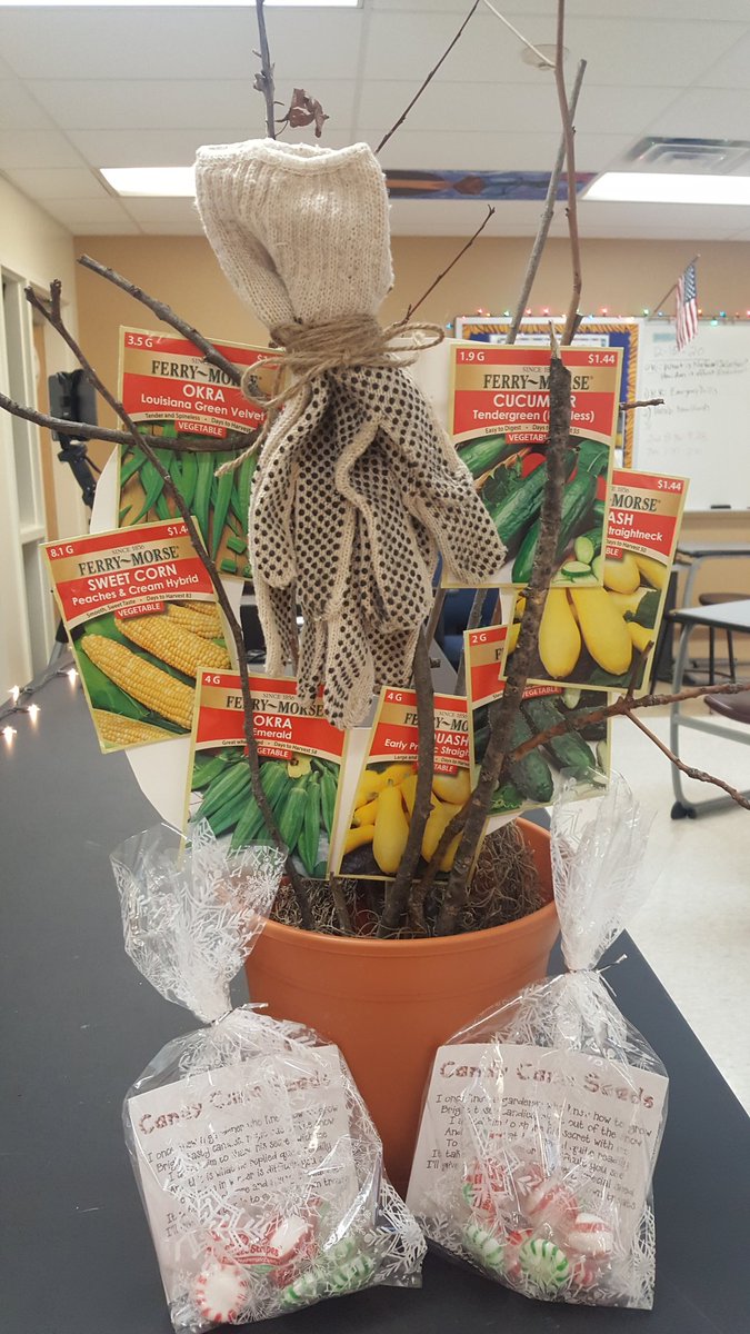 Ellen Schweiger tweet media