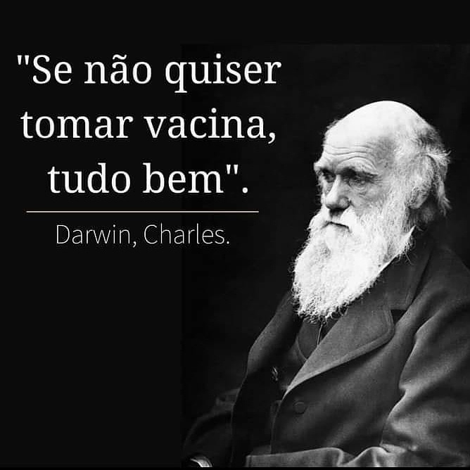 Raphael Knopp tweet media