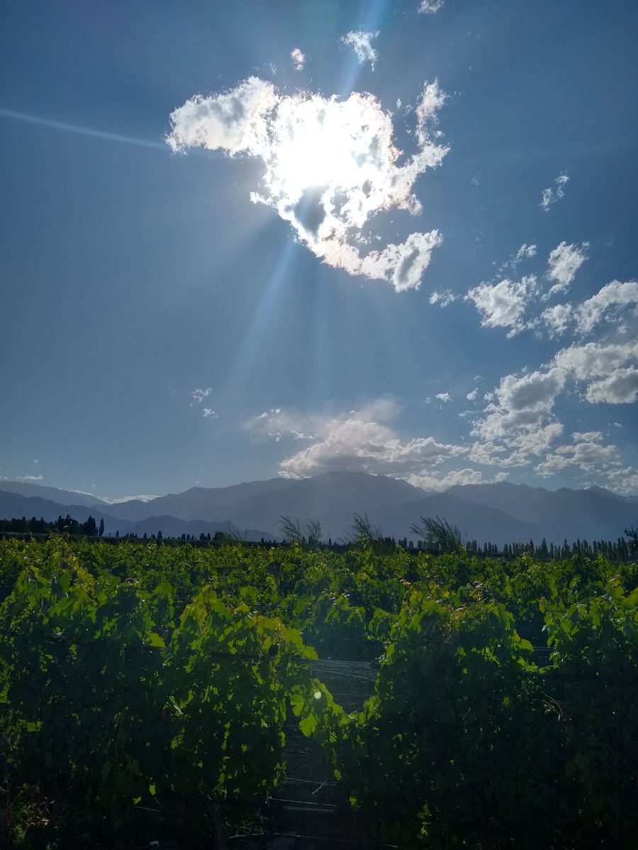 menducaLa's tweet photo. #Mieclipse https://t.co/FEa8Tb5z1Q