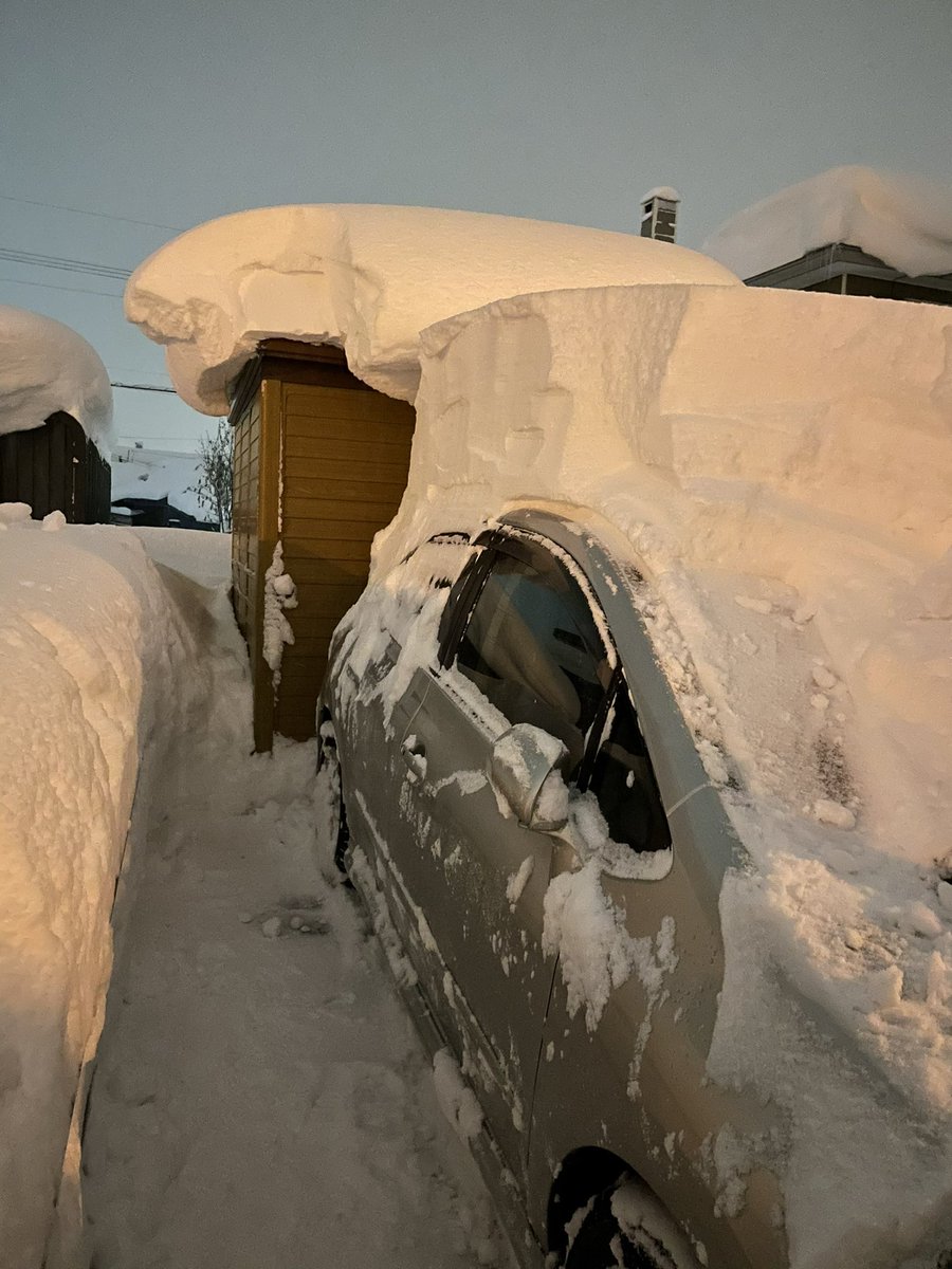 カ フ ミ おはようございます 豪雪地帯岩見沢で月曜日の朝から雪下ろしをしなかった車と物置です もう雪を捨てる場所が無いんです カ フ ミ おはようございます 豪雪地帯岩見沢で月曜日の朝から雪下ろしをしなかった車と物置です もう雪を捨てる場所が無いんです