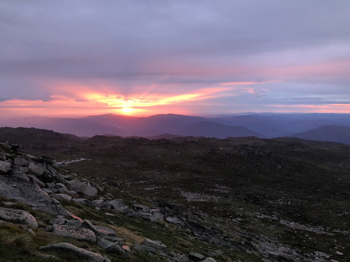 Sun sets on the Snowy Mountains, Ngarigo Country, and the bogong moths begin to stir. #wildoz #austalps #ozinsects