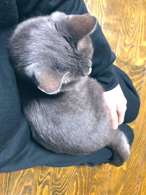 寒すぎて座った途端にこれ。 