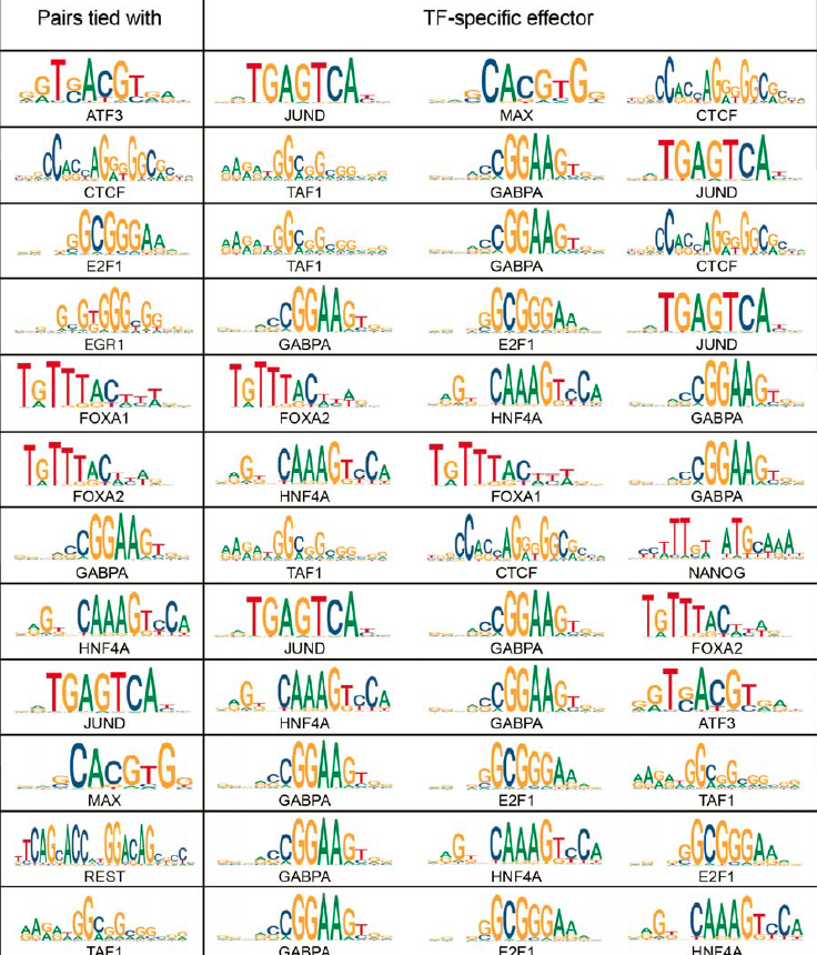 generegulation's tweet photo. Evidence of widespread, independent sequence signature for transcription factor cobinding https://t.co/mSsZUOOtzr 
Motifs associated with TF-TF co-binding:
(1) TF-pair specific (see table)
(2) TF-specific (see table)
(3) TF-generic (e.g. GABPA, JUND, TAF1, and HNF4A)
#TFbinding https://t.co/Wq30Y5abjL