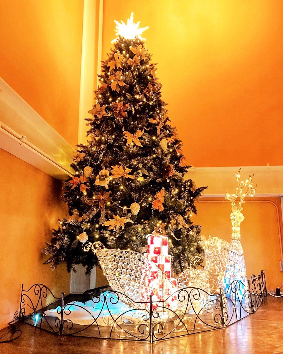 アランチーノ大阪 公式 本日よりクリスマスディナーコースのご提供を開始します コース料理 12 000円 税 サービス料別 期間 12月16日 水 27日 日 23日 水 25日 金 はコースのみ この期間だけの華やかな演出と 限定メニューやドリンク