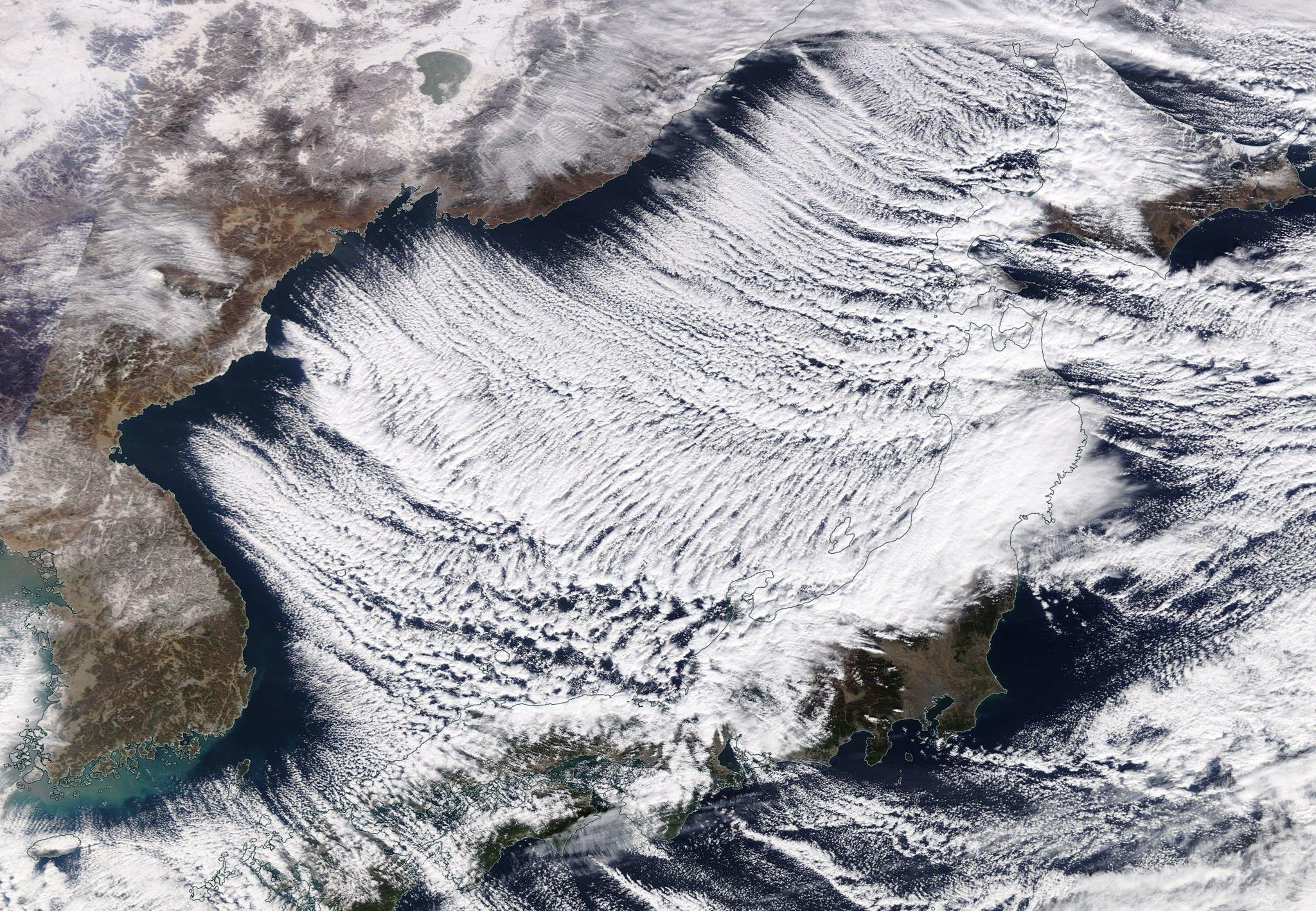 荒木健太郎 日本海の雪雲がすごいことになっています 冬の典型的な雪雲である筋状雲が日本海を埋め尽くす勢いで発達しており 日本海側各地に大雪をもたらしています 雪の災害にどうかお気をつけください T Co Fkrvcthxg8 Twitter