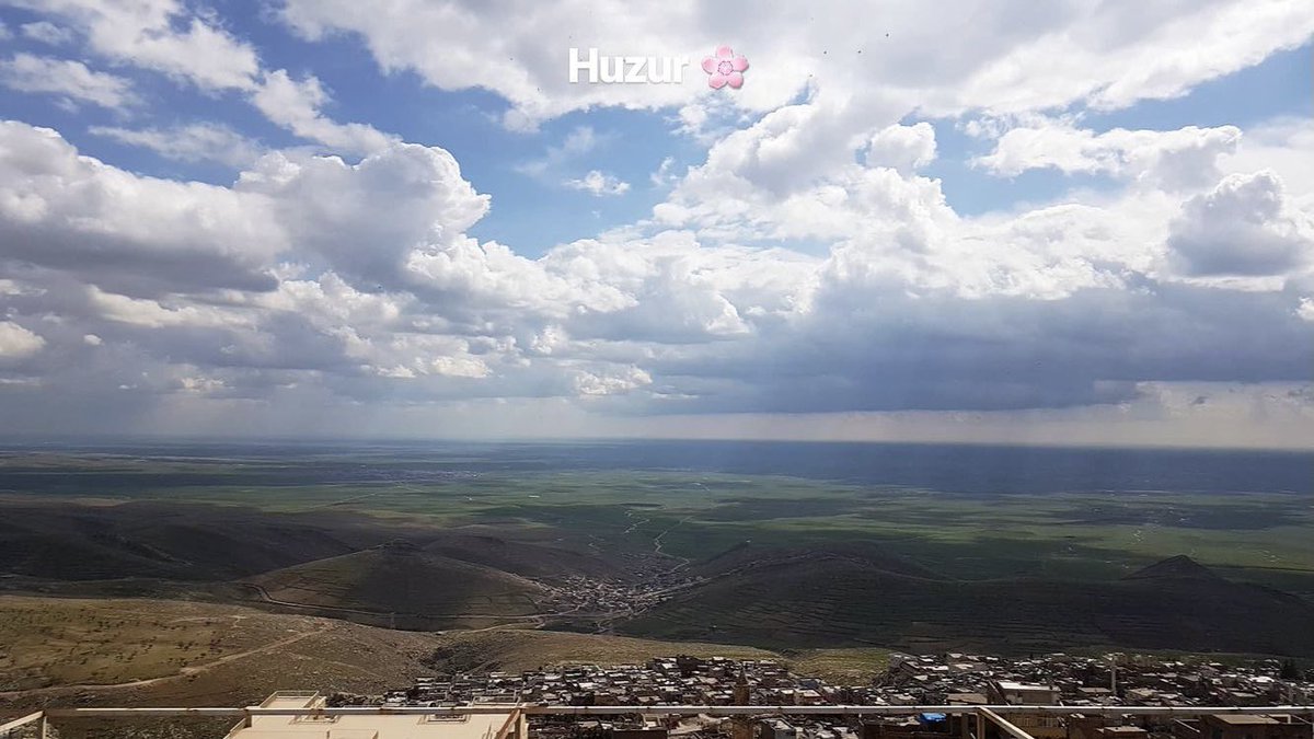 teacherellaa_'s tweet photo. @nocontextmardin https://t.co/qK7CYUxgpu