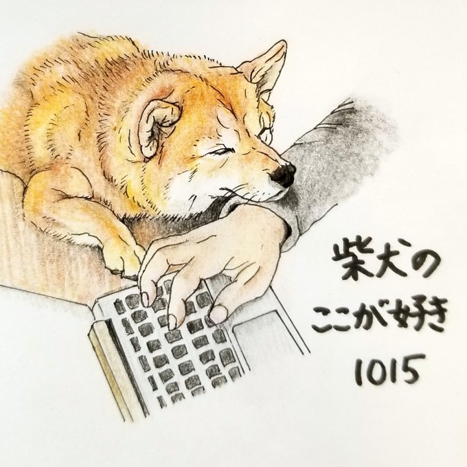 柴犬 高画質 のtwitterイラスト検索結果