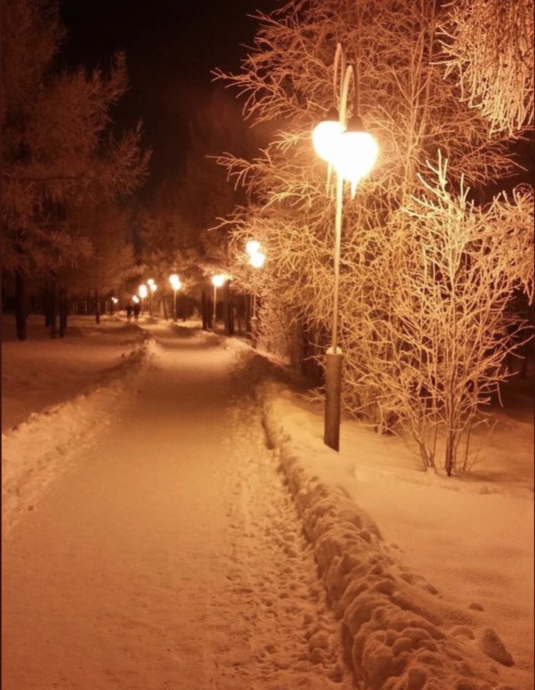 aliosmandasdemi's tweet photo. Düşünsenize kız arkadaşınıza bir sabah böyle uyanmak istermisin diyiceksiniz aldığınız tek cevap saat 9 dan sonra sokağa çıkma  yasağı başlıyor..#sokağacıkmayasağı #Ceza #NeGuezelDemisSair #bıktıkartık #saçma #yasakistemiyoruz #yasaklargerigeldi #yasak #Corona https://t.co/uTgC5SOlh0