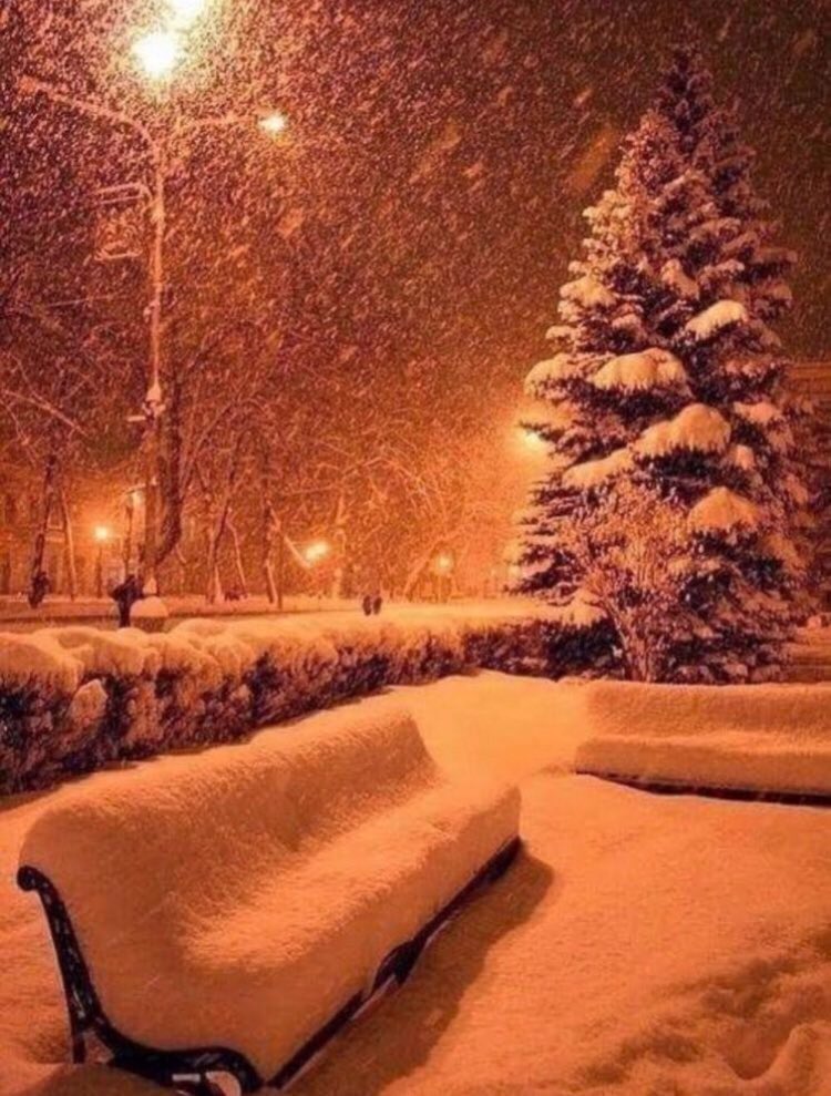 aliosmandasdemi's tweet photo. Düşünsenize kız arkadaşınıza bir sabah böyle uyanmak istermisin diyiceksiniz aldığınız tek cevap saat 9 dan sonra sokağa çıkma  yasağı başlıyor..#sokağacıkmayasağı #Ceza #NeGuezelDemisSair #bıktıkartık #saçma #yasakistemiyoruz #yasaklargerigeldi #yasak #Corona https://t.co/uTgC5SOlh0