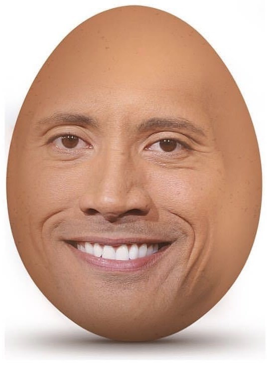 The Rock Face Meme 