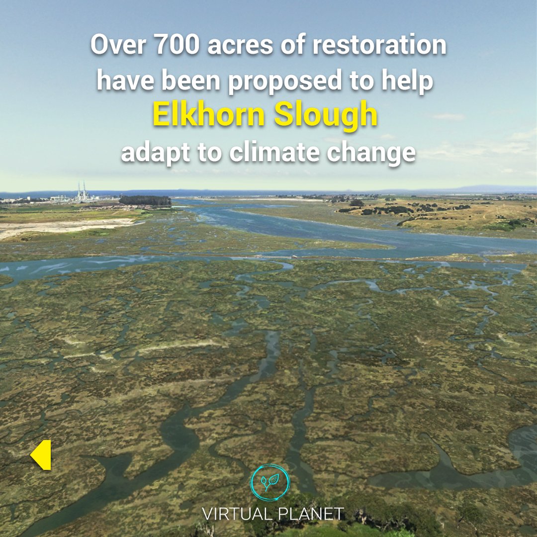 Virtual Planet Technologies LLC tweet media