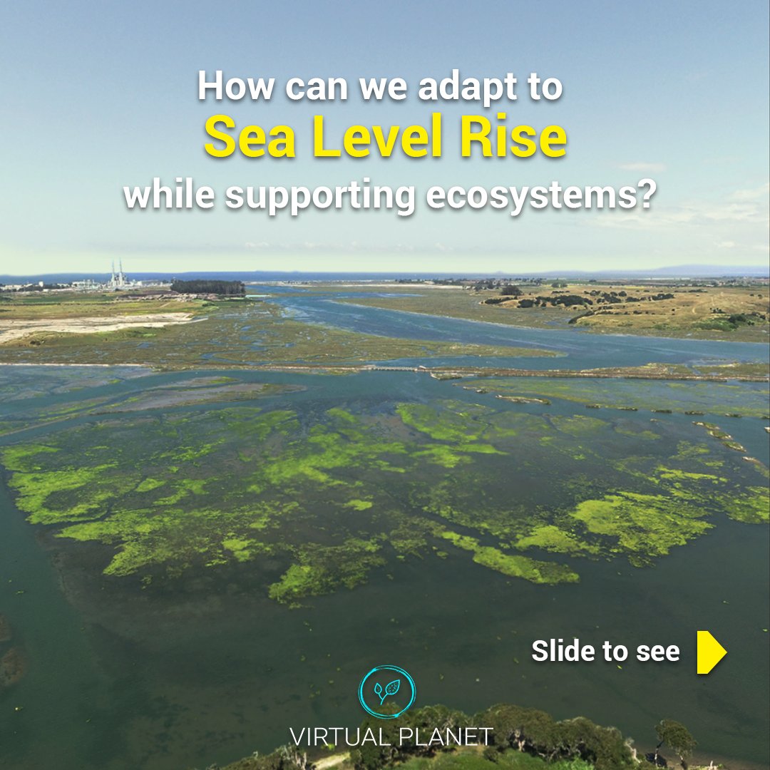 Virtual Planet Technologies LLC tweet media