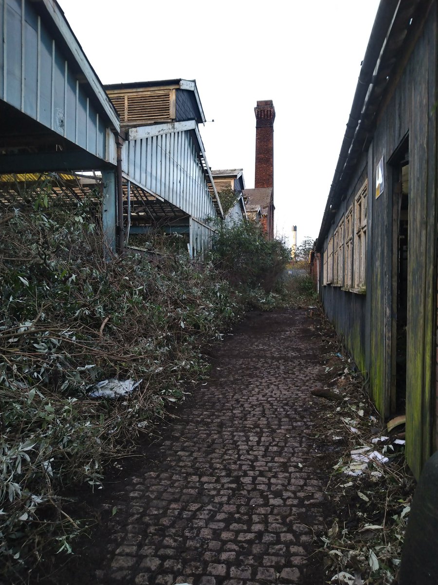 Absolutely monumental effort today clearing a safe access route into the <a href="/WLV_Springfield/">University of Wolverhampton: Springfield</a> <a href="/wlv_uni/">University of Wolverhampton</a> Cooperage grounds. This now has the potential for so many onsite  student projects Brownfield ✅ Architectural Design Technology ✅ Sustainability ✅ Quantity Surveying ✅ Property