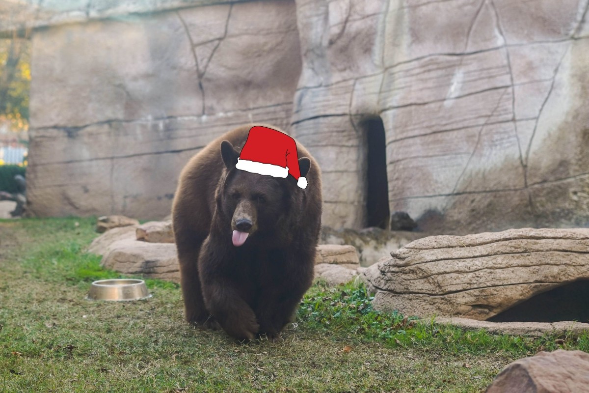 Who takes care of Lady &amp; Joy when students have left for Christmas?

The men &amp; women of <a href="/BUChamber/">Baylor Chamber</a>: bit.ly/2LzOexL