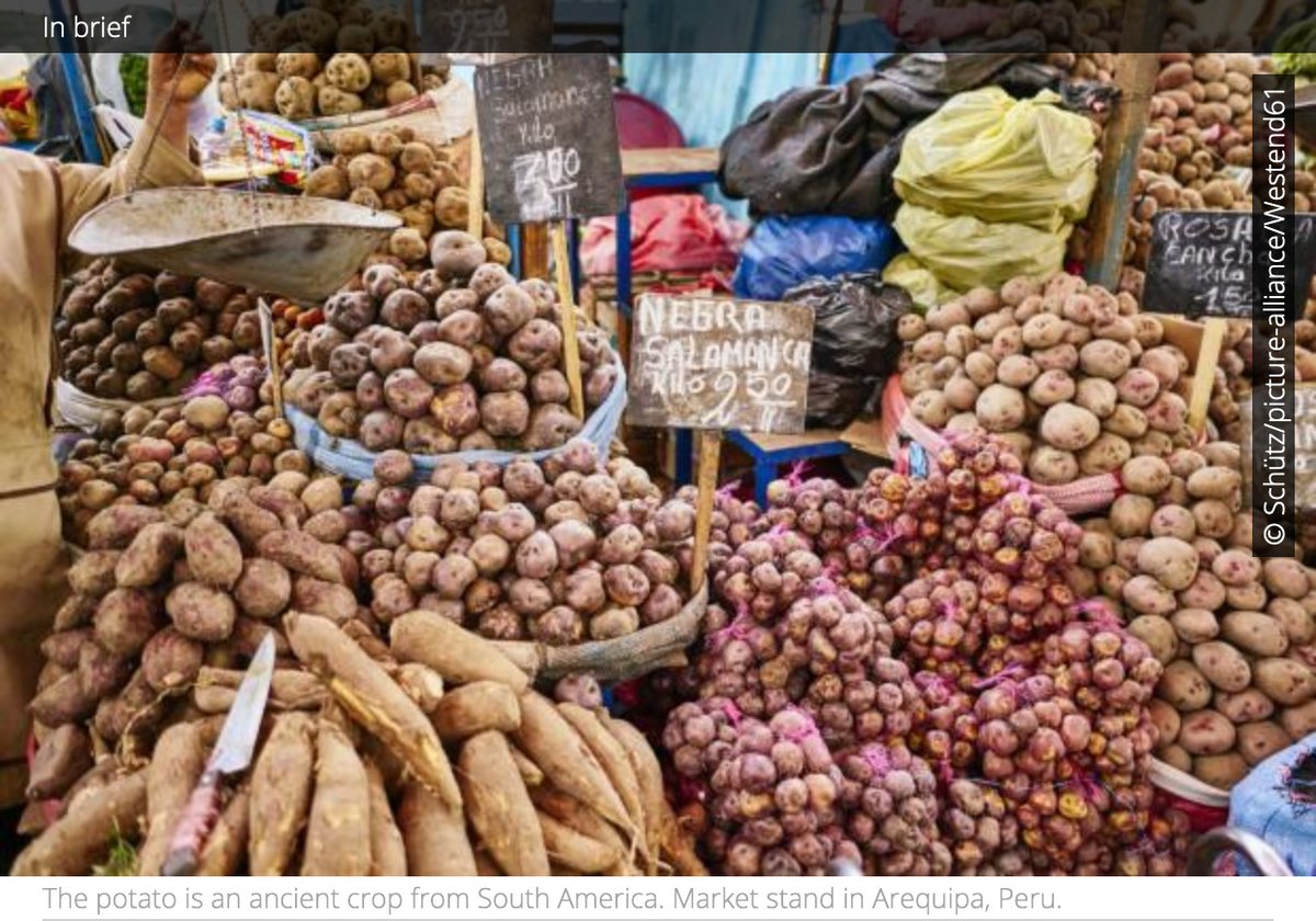 forumdc's tweet photo. Gene databases facilitate scientific research, but questions arise regarding the ownership of natural resources 
https://t.co/p9Uli0KY4z

#naturalresources #biodiversity #genemanipulation #technology https://t.co/3I0hbU4WOZ
