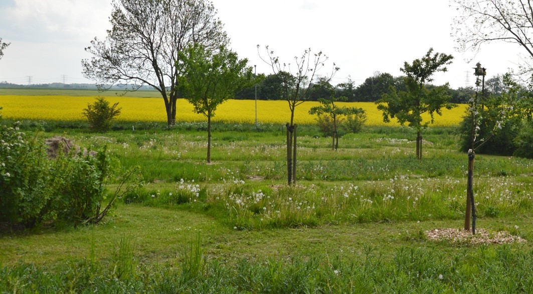 Wilde Weelde tweet media