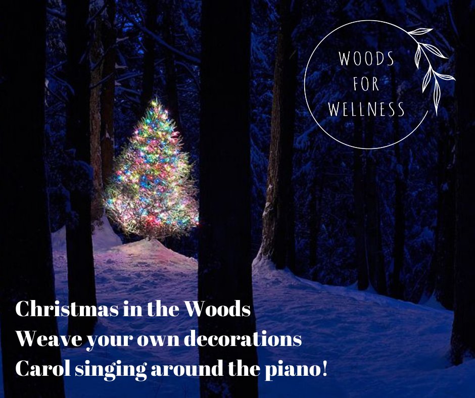 #Christmas in the #Woods! Saturday 19th December 10.30am & 1.30pm The Glade (Totnes) @TheWoodsPresent >> BOOK YOUR TIME SLOT thewoodland.co/events/yuletid… <<