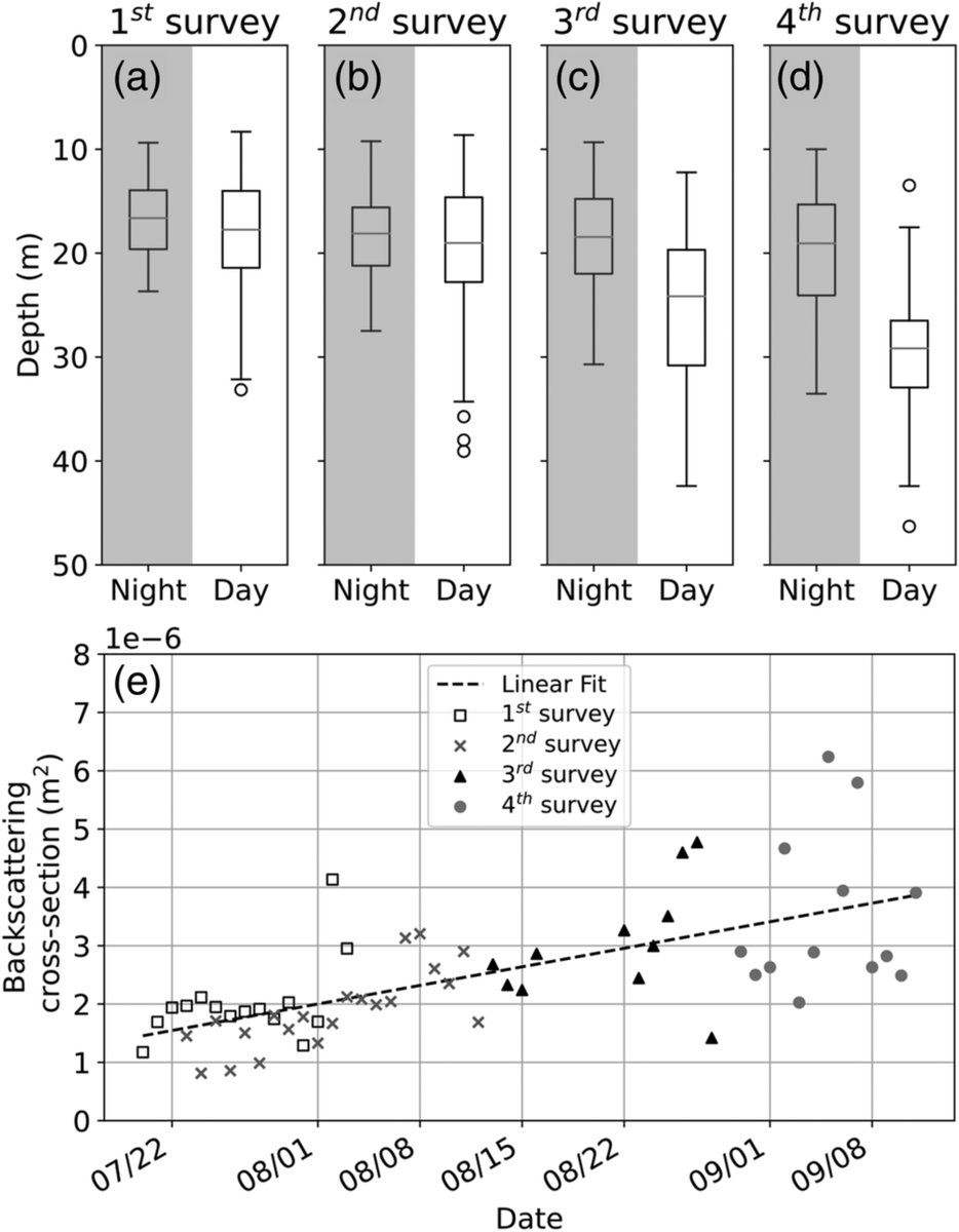The whole population didn't move over the summer like we thought, but from the acoustics we were able to infer size and see that they were growing. They also, as these fish tend to do as they grow, swam deeper during the day to avoid being eaten.