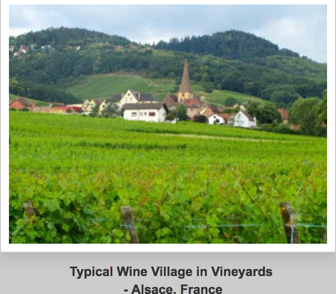 wdunlap's tweet photo. Cute, cute, and then more cute! Pat says France’s Alsace Wine Road and storybook Villages are cuter than cute; Check it out, Click here:
https://t.co/UAxl3QgQSS
#travel #France #Alsace #wine #winelovers #winetasting #TravelTuesday #travelblogger #traveler #Traveller #TTOT https://t.co/Z95I4Vw5Ln