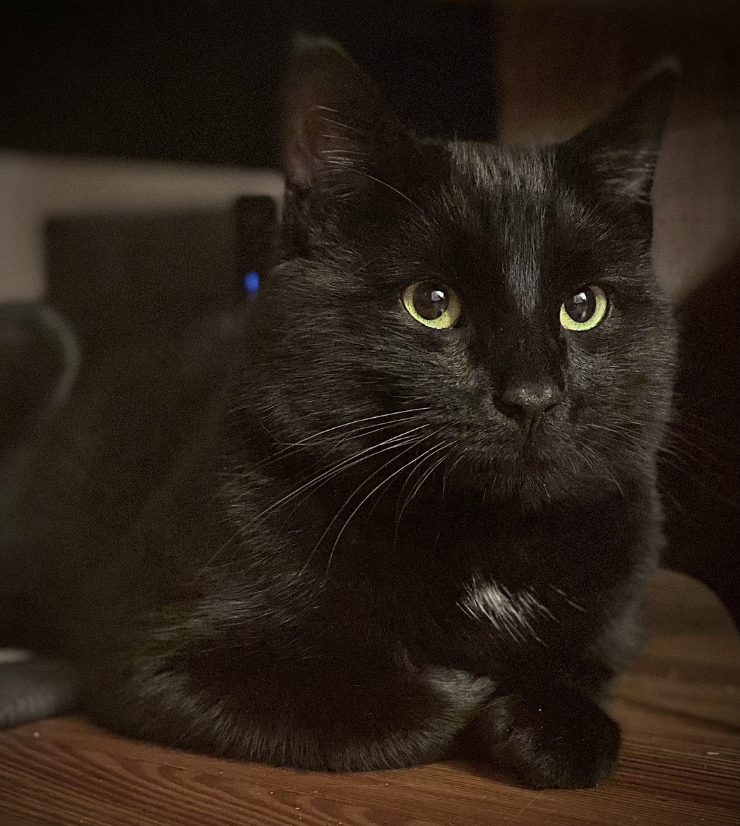 Lynette Moore tweet media