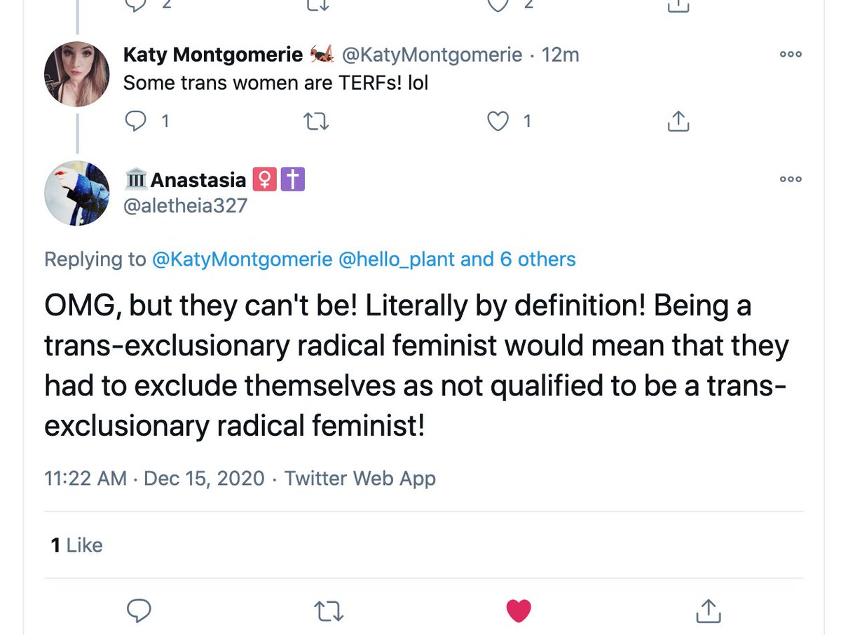 "Some trans women are TERFS"