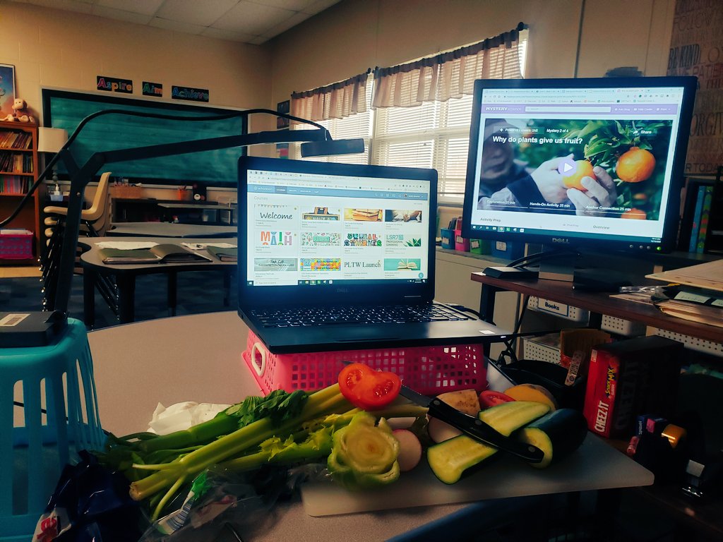kerri_draper's tweet photo. Today's virtual lesson felt a little like a cooking show! 😄🍅🥒🥔 #MissDgrade3 #MysteryScience #WeAreWVE #r7proud #MadeInR7 https://t.co/fMXDj89Dxr