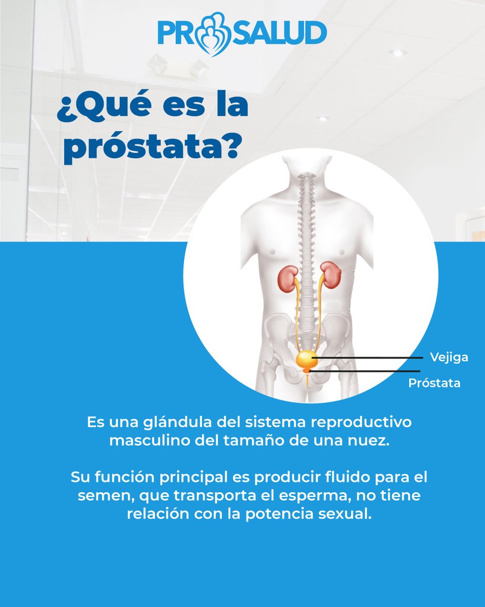 prosaludac's tweet photo. ¿Sabes qué es la próstata?
La próstata es una glándula que está ubicada justo por debajo de la vejiga del varón. Posee el tamaño de una nuez, y tiene como función, junto a los testículos y las vesículas seminales, producir semen. https://t.co/6MYb5bWRTP