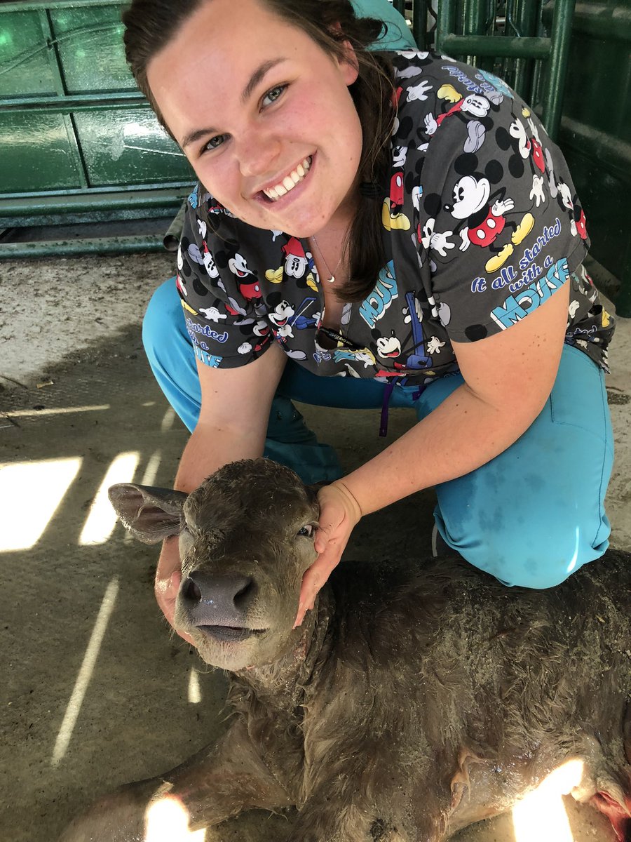 DarnellMolly's tweet photo. Them: what’s it like working for a vet? 

Me: https://t.co/TS4XSFj3Dh