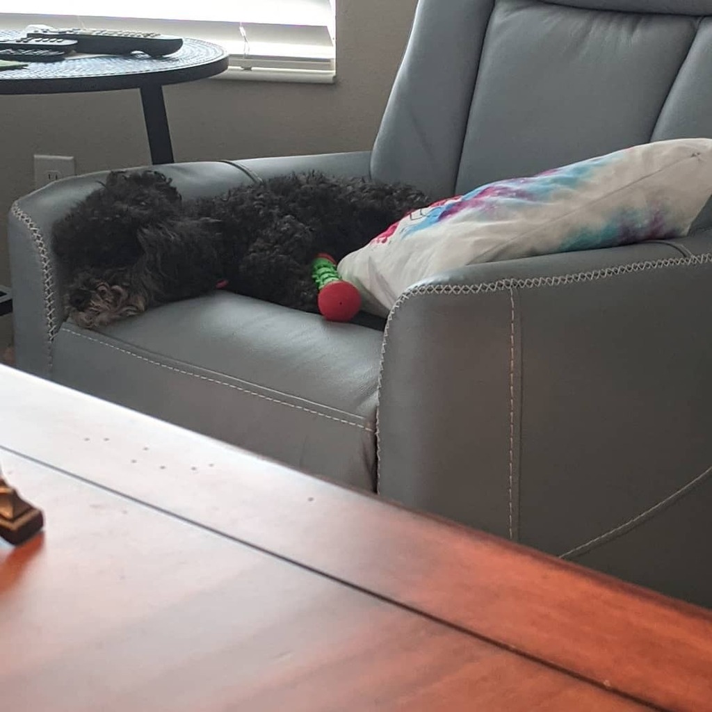 _jessdalrymple's tweet photo. The recliner might be new...but my coworker's position remains the same. https://t.co/QXrLbHjPID