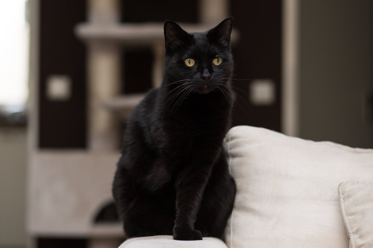 Ooh jeetje <a href="/Staatsloterij/">Staatsloterij</a> volgens mij heeft iemand niet goed geknipt en geplakt. Er staan verkeerde jaartallen in jullie actievoorwaarden. Hopelijk maakt onze Frummel nog wel steeds kans, ondanks dat het nu 2020 is, op jullie facebook actie
stlproduction.blob.core.windows.net/assets/7AD702F…