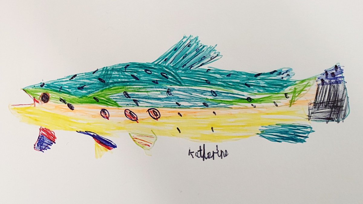 My last workshop with Y5 <a href="/CVPschool/">Cramlington Village</a> yesterday drawing local reptile, amphibian and freshwater fish species. These tremendous #drawings by Leonardo, David, Ellah and Katherine demonstrate the beauty of #NorthEast wildlife. Bravo all!  

<a href="/BornFreeFDN/">Born Free Foundation</a>
<a href="/Natures_Voice/">RSPB</a> 
<a href="/mtrevix/">Marco Trevisan-Herraz 🔭🦠🚲🌱🌍</a>