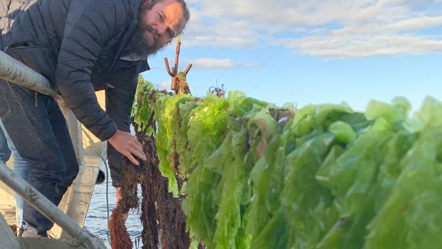 EmbAustraliaBA's tweet photo. FutureFeed de @CSIRO, un feedlot de algas marinas que reduce las emisiones de metano más del 80%, recibió el premio @FoodPlanetPrize. Al alimentar el #ganado con algas, se reducen drásticamente los gases de efecto invernadero de la #agricultura y se aumenta la productividad. 🇦🇺🐮 https://t.co/Q0X2LIgOaZ