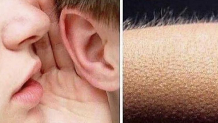 decasing's tweet image. “lockdown is over”